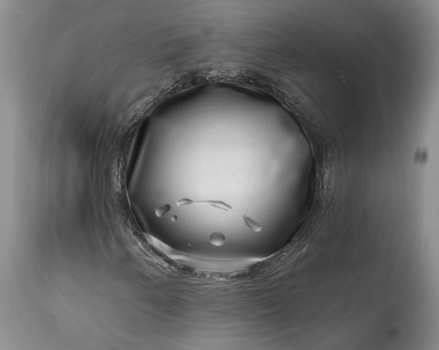 X0000114201250200910231335