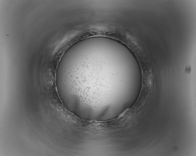 X0000114201253200910231335