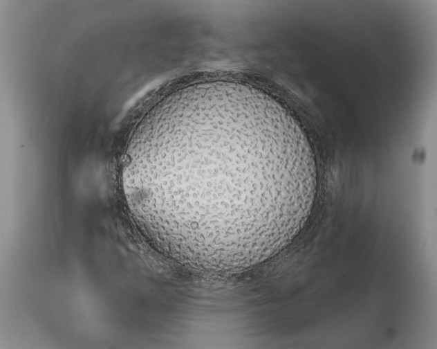 X0000114201254200910231335