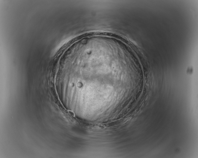 X0000114201255200910231335