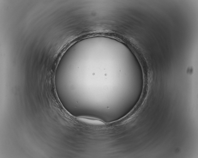 X0000114201257200910231335