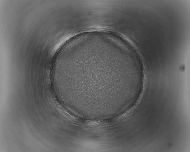 X0000114201259200910231335