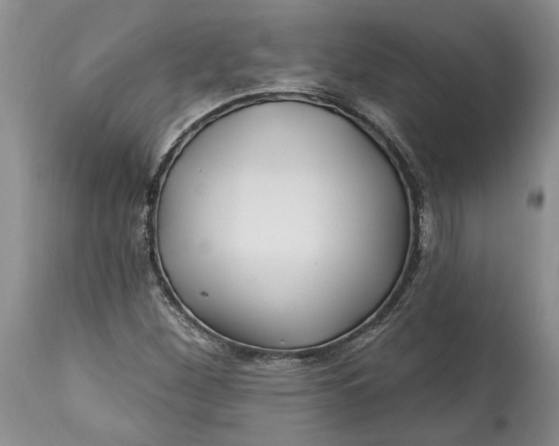 X0000114201260200910231335