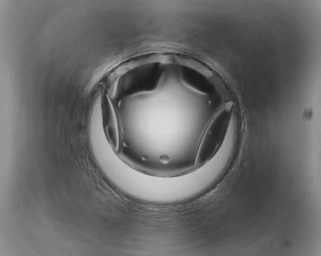 X0000114201261200910231335