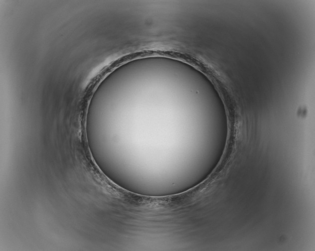 X0000114201262200910231335