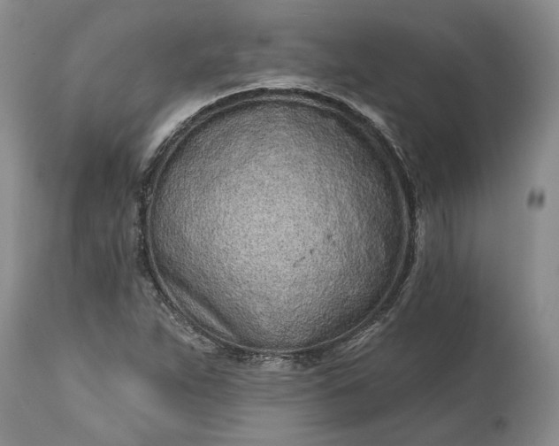 X0000114201263200910231335