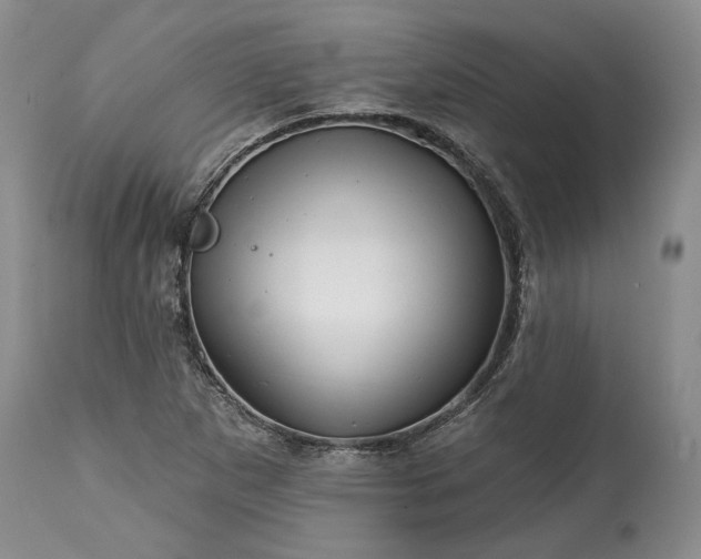 X0000114201265200910231335