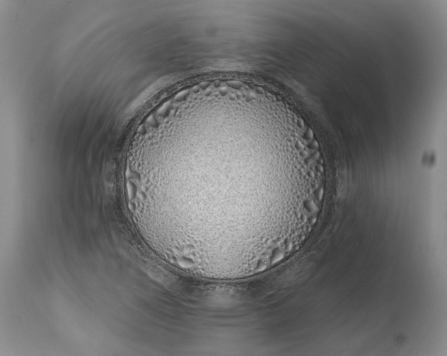 X0000114201266200910231335