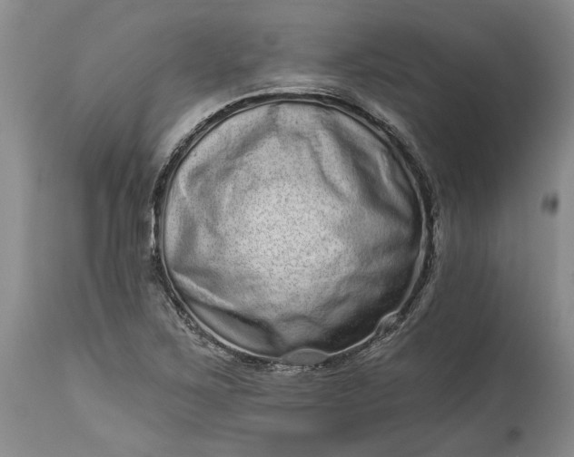 X0000114201267200910231335