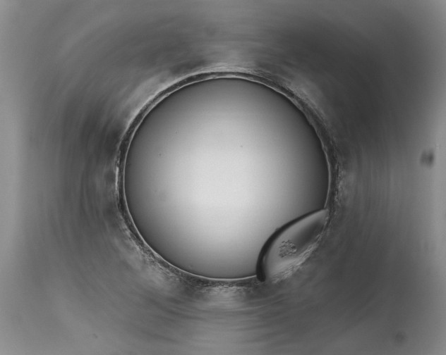 X0000114201268200910231335