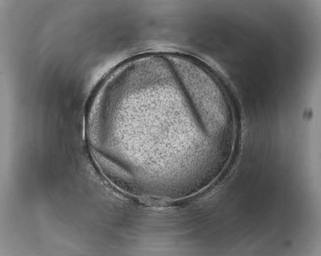 X0000114201269200910231335