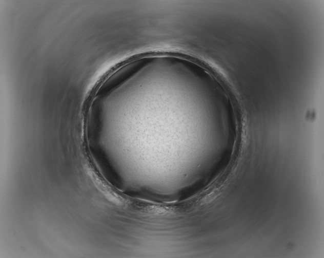 X0000114201270200910231335