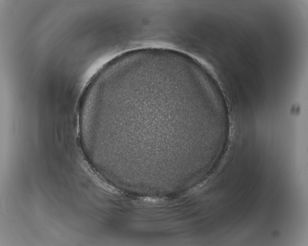 X0000114201271200910231335