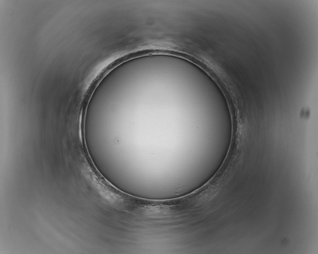 X0000114201272200910231335