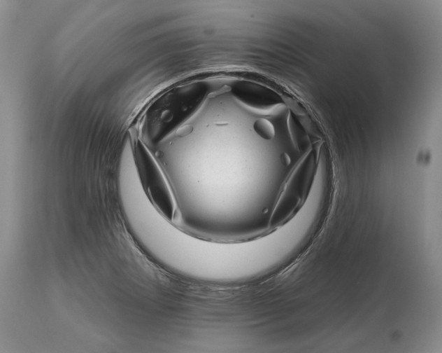 X0000114201273200910231335