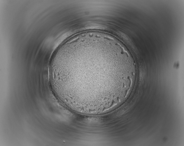 X0000114201274200910231335