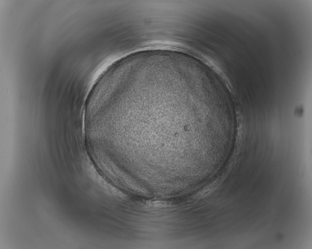 X0000114201275200910231335