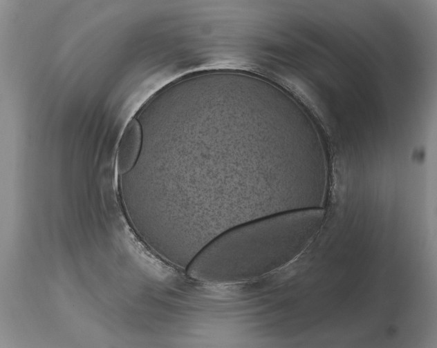 X0000114201276200910231335