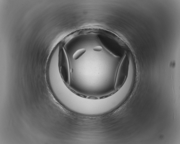 X0000114201277200910231335