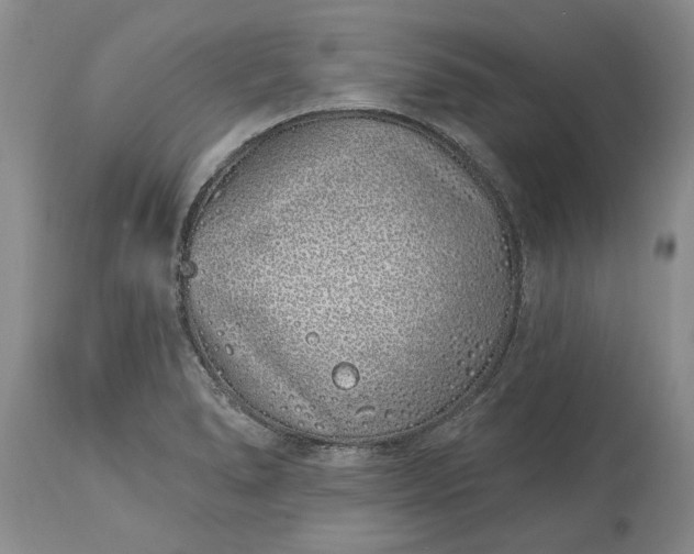 X0000114201278200910231335