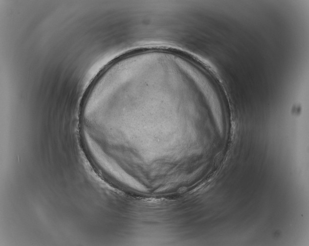 X0000114201279200910231335