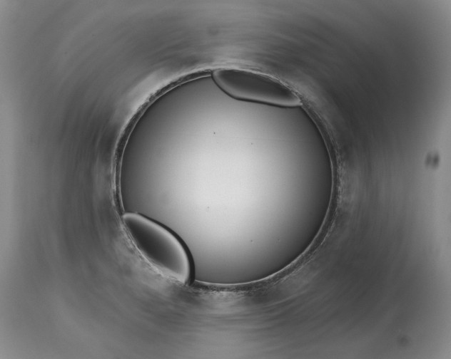 X0000114201280200910231335