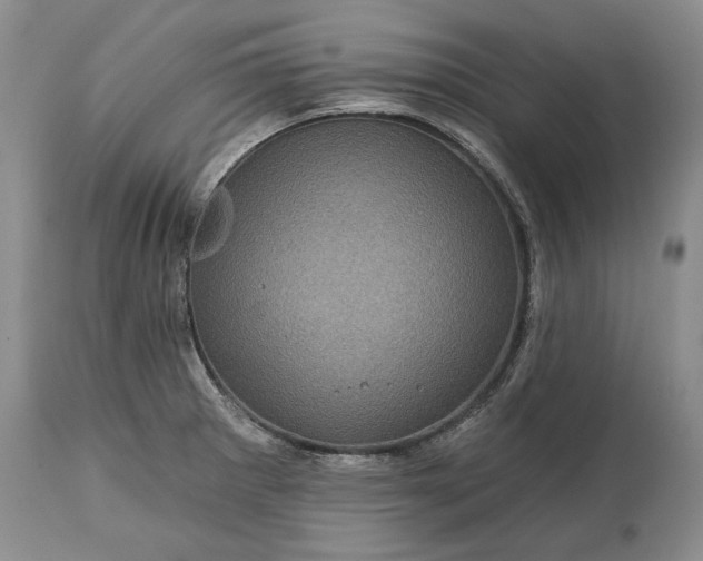 X0000114201281200910231335