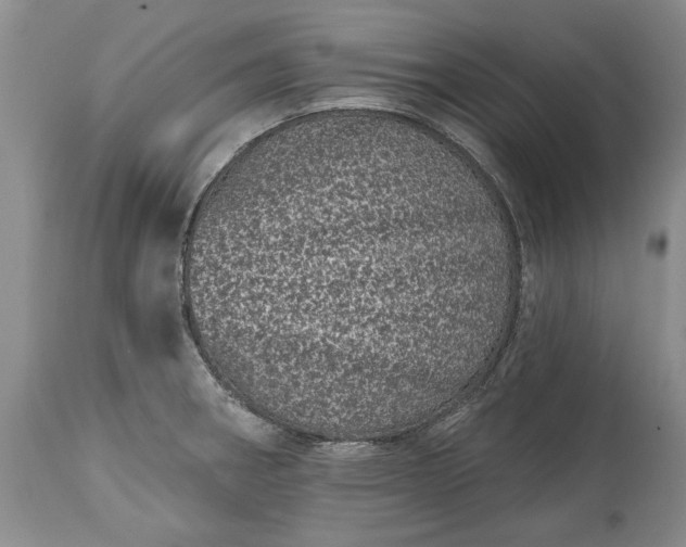 X0000114201282200910231335