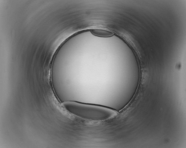 X0000114201284200910231335