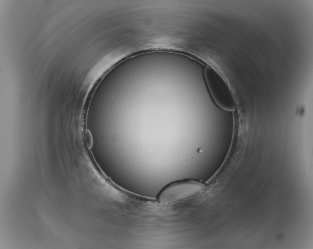 X0000114201285200910231335