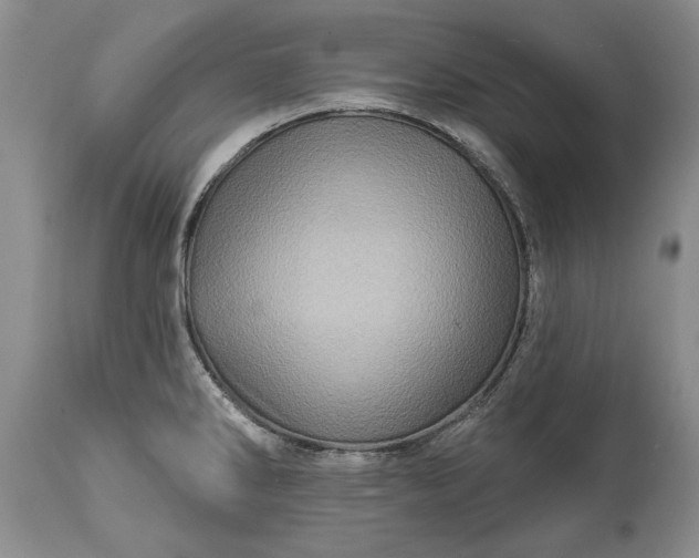 X0000114201286200910231335