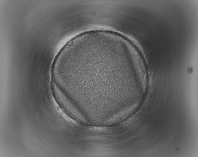 X0000114201287200910231335