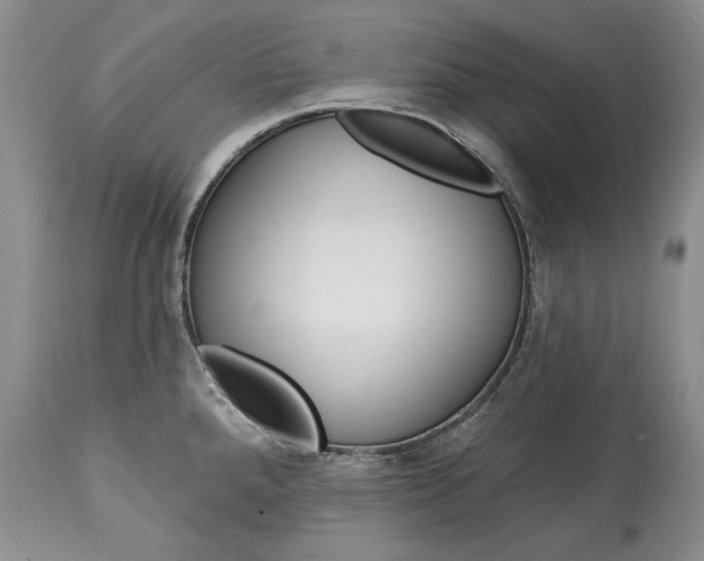 X0000114201288200910231335