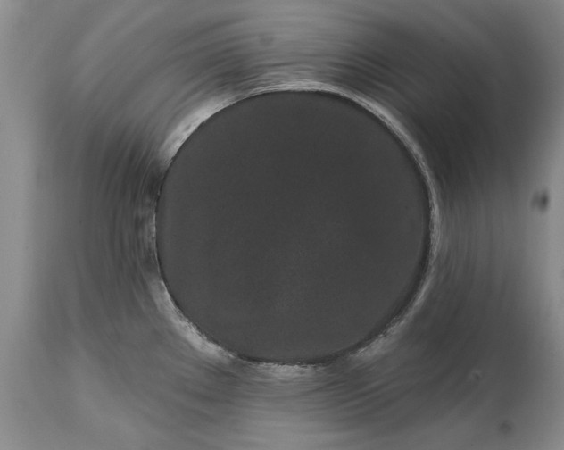 X0000114201289200910231335