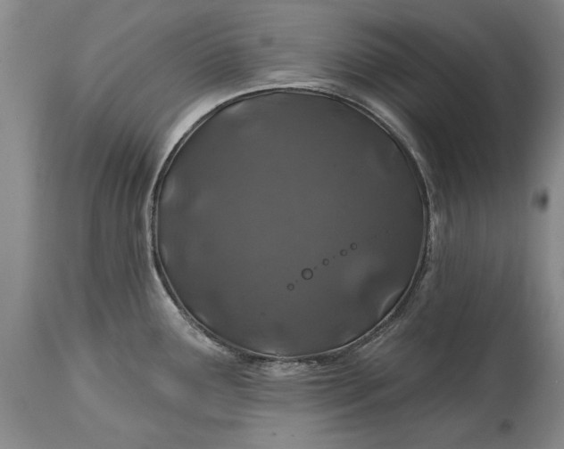 X0000114201291200910231335