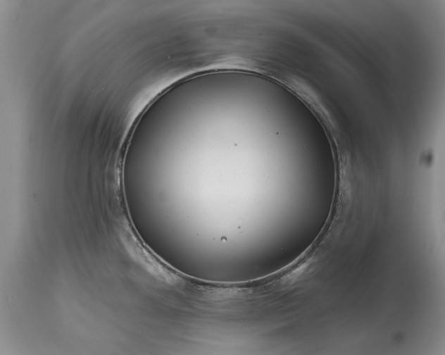 X0000114201292200910231335