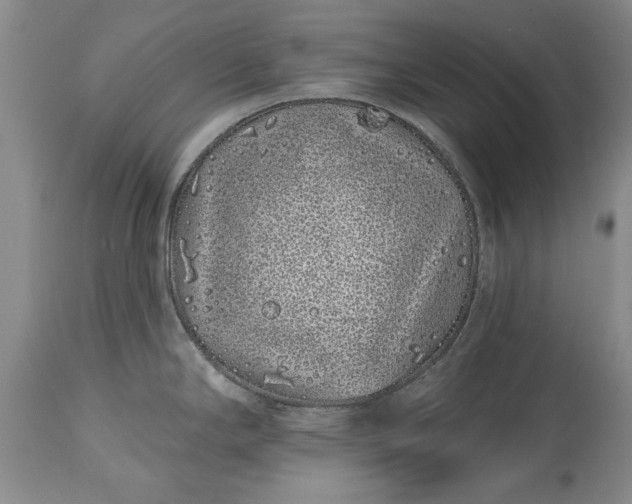 X0000114201294200910231335