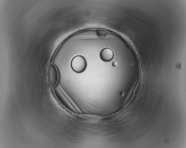 X0000114201295200910231335