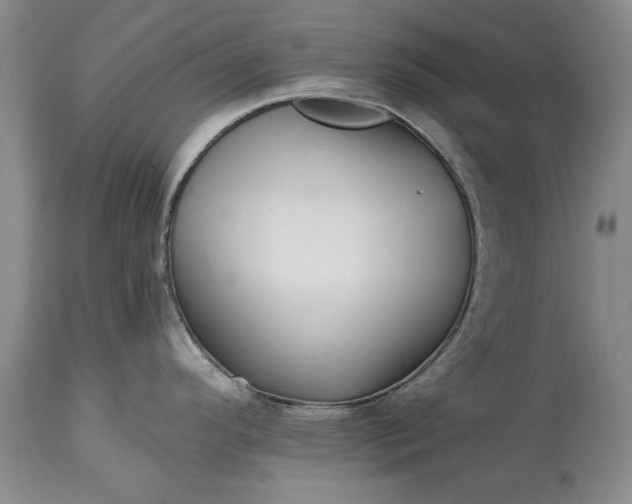 X0000114201296200910231335