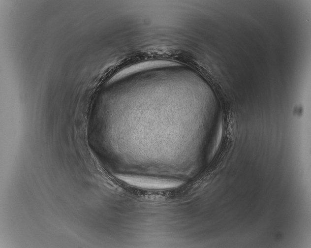 X0000114201297200910231334