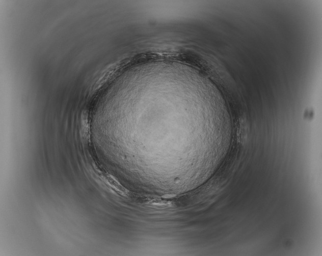 X0000114201298200910231334