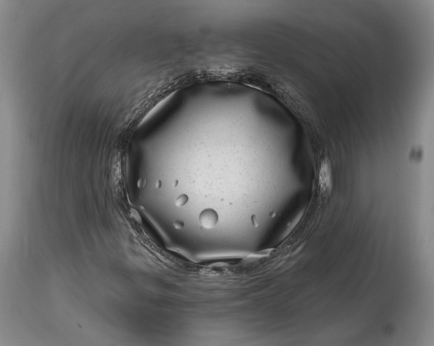 X0000114201299200910231334