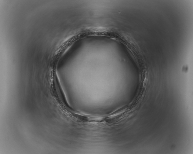 X0000114201301200910231334