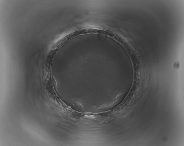 X0000114201303200910231334