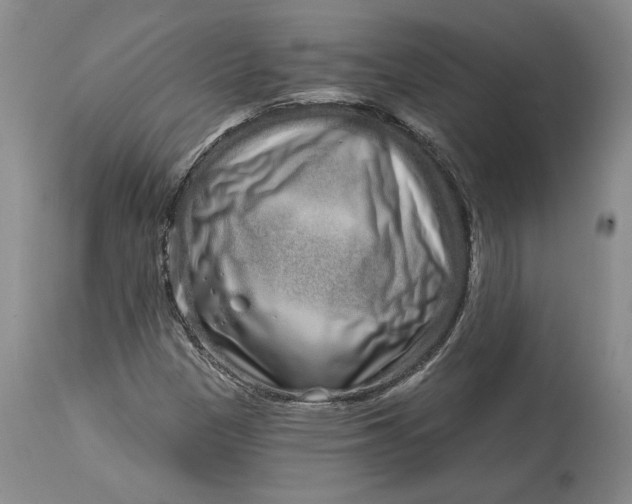 X0000114201305200910231334