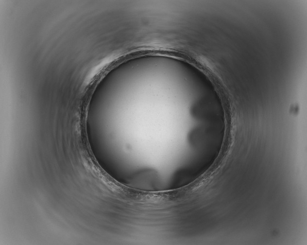 X0000114201307200910231334