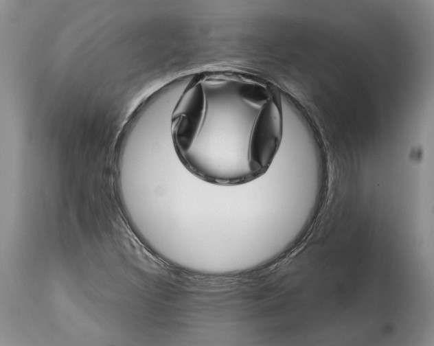 X0000114201308200910231334