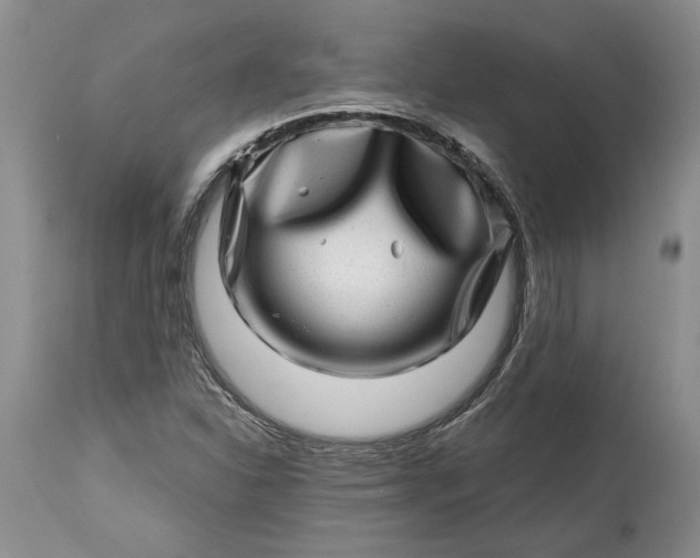 X0000114201310200910231334