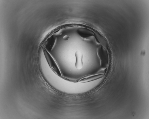 X0000114201312200910231334