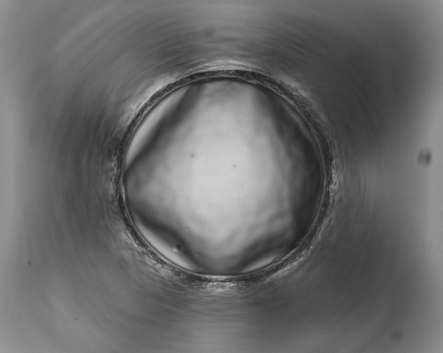 X0000114201313200910231334